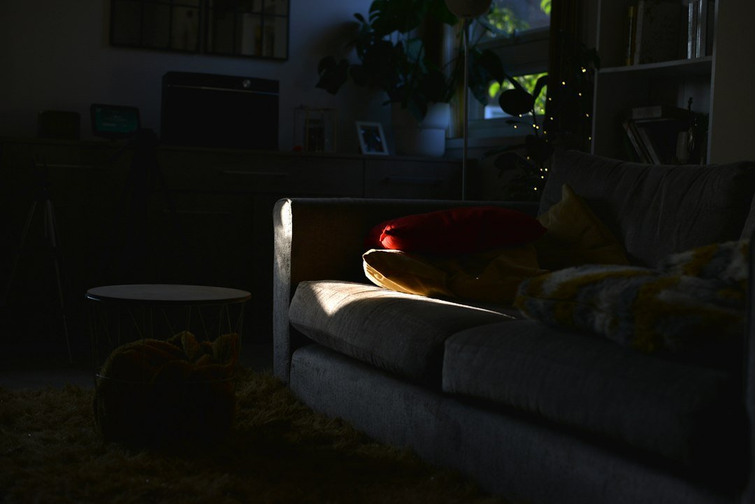 a living room with a couch and a cat on the floor